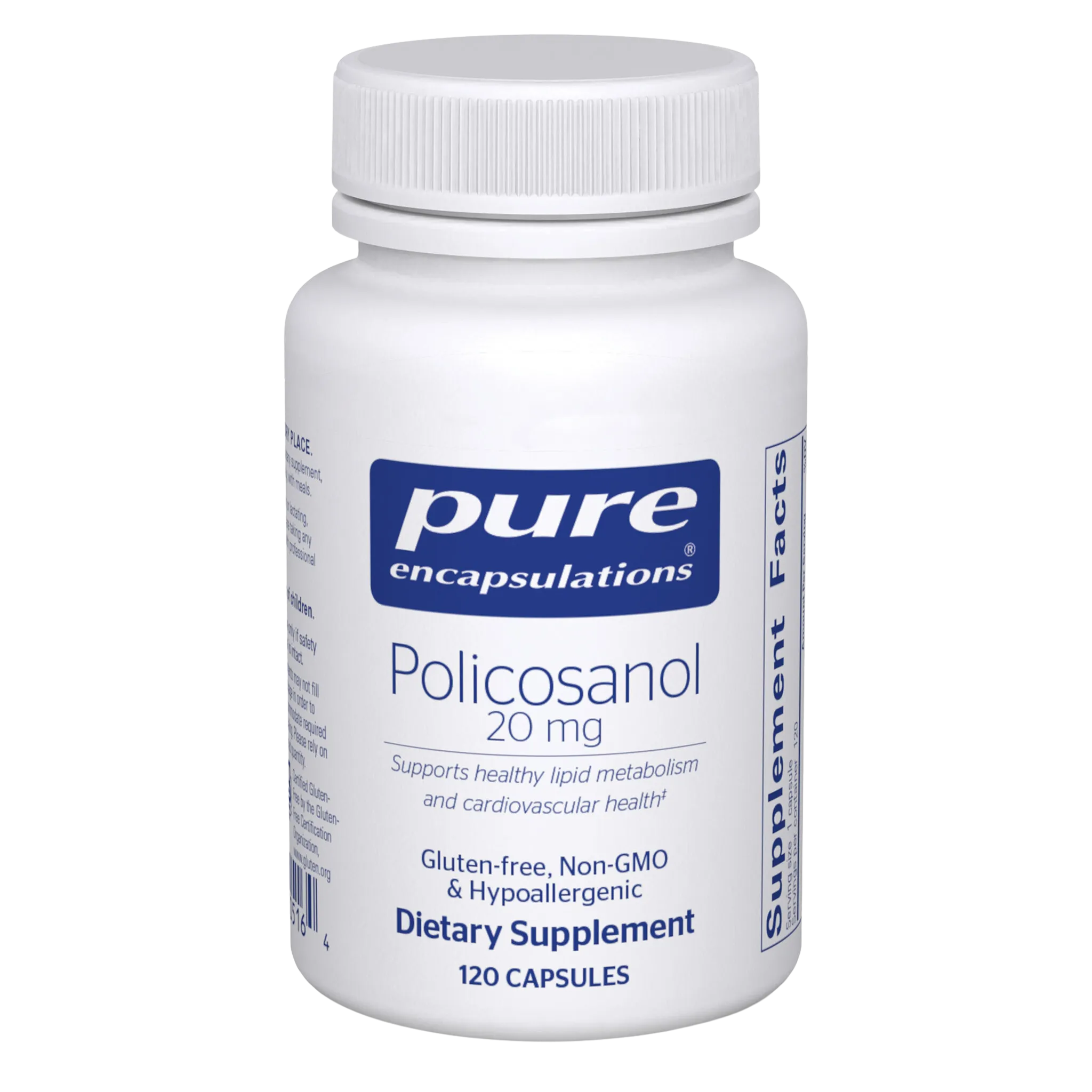 Can Policosanol Support Vascular Health and Lipid Metabolism in Long COVID and ME/CFS?